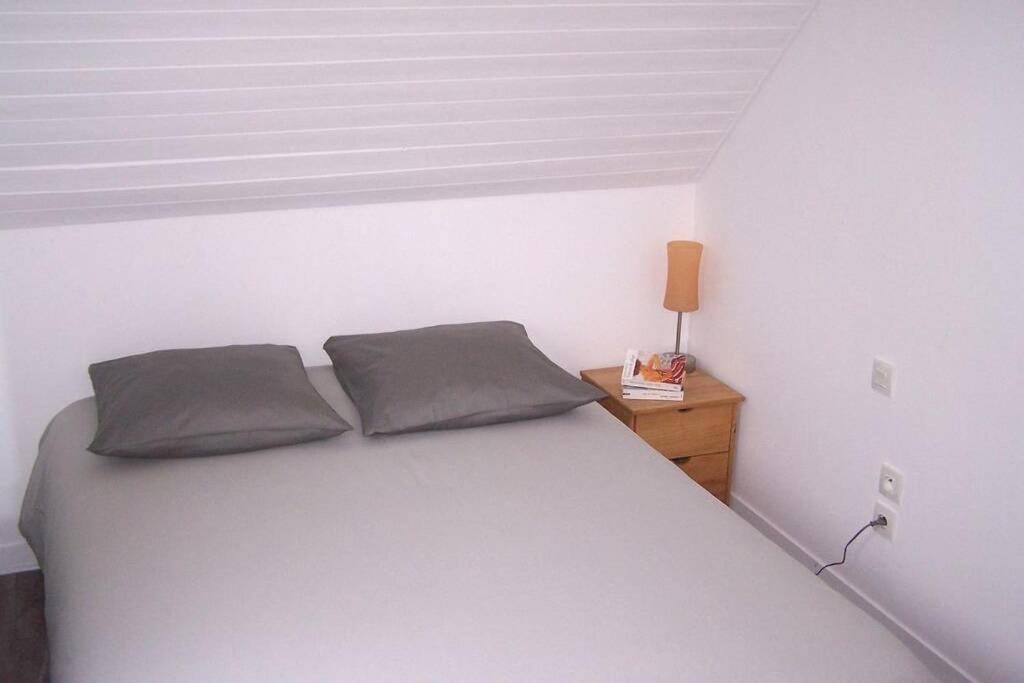 Maison Avec Jardin Clos. Animaux Acceptes - Wifi - Proche Plages De La Trinite Sur Mer Et Carnac エクステリア 写真