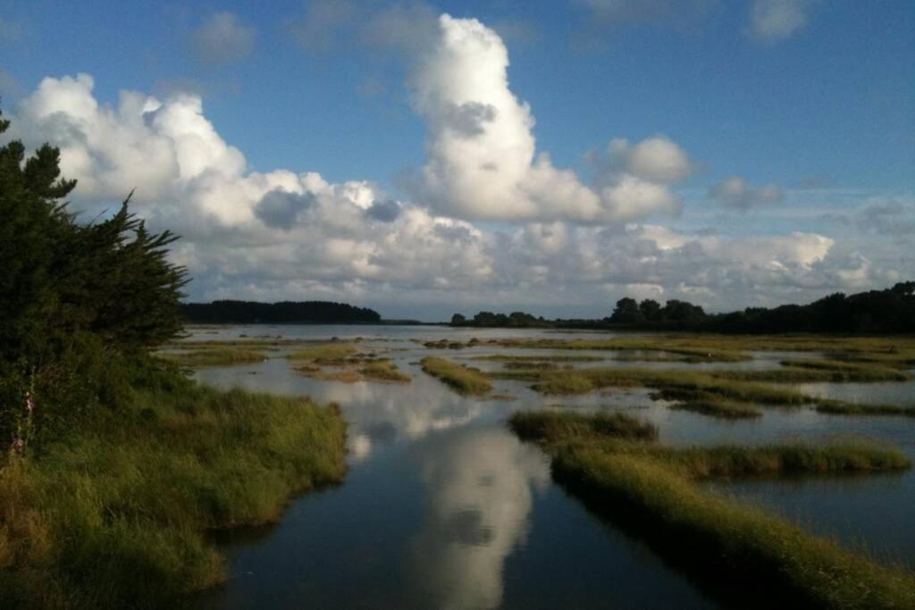 Maison Avec Jardin Clos. Animaux Acceptes - Wifi - Proche Plages De La Trinite Sur Mer Et Carnac エクステリア 写真